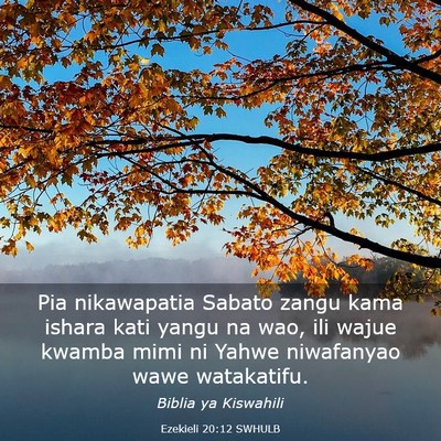 Picture 03 - Ezekieli 20:12 SWHULB - Pia nikawapatia Sabato zangu kama ishara kati - Bible Verse Picture