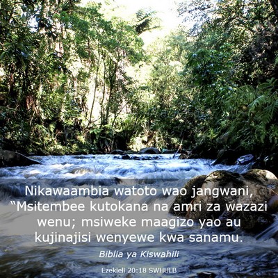 Picture 03 - Ezekieli 20:18 SWHULB - Nikawaambia watoto wao jangwani, “Msitembee - Bible Verse Picture