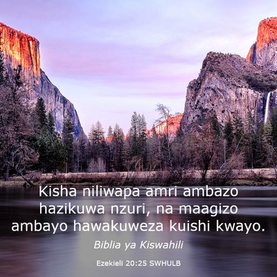 Picture 03 - Ezekieli 20:25 SWHULB - Kisha niliwapa amri ambazo hazikuwa nzuri, na - Bible Verse Picture