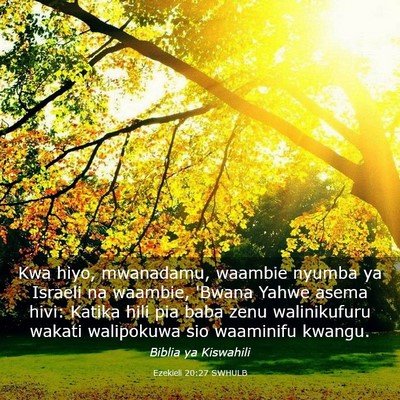 Picture 03 - Ezekieli 20:27 SWHULB - Kwa hiyo, mwanadamu, waambie nyumba ya Israeli na - Bible Verse Picture