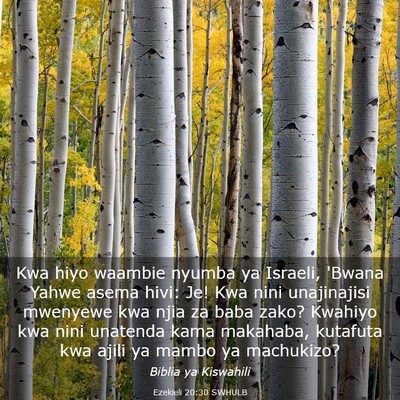 Picture 03 - Ezekieli 20:30 SWHULB - Kwa hiyo waambie nyumba ya Israeli, 'Bwana Yahwe - Bible Verse Picture