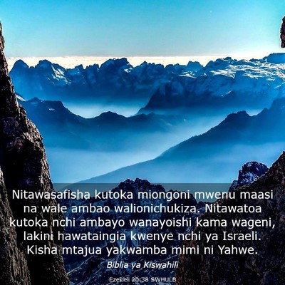 Picture 03 - Ezekieli 20:38 SWHULB - Nitawasafisha kutoka miongoni mwenu maasi na wale - Bible Verse Picture