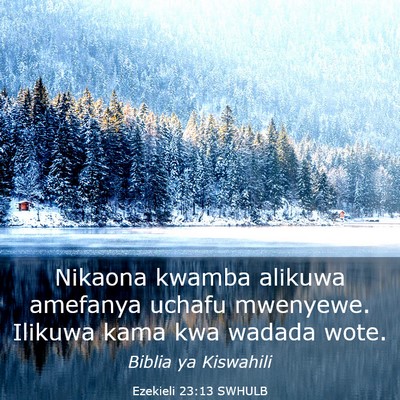 Picture 03 - Ezekieli 23:13 SWHULB - Nikaona kwamba alikuwa amefanya uchafu mwenyewe. - Bible Verse Picture