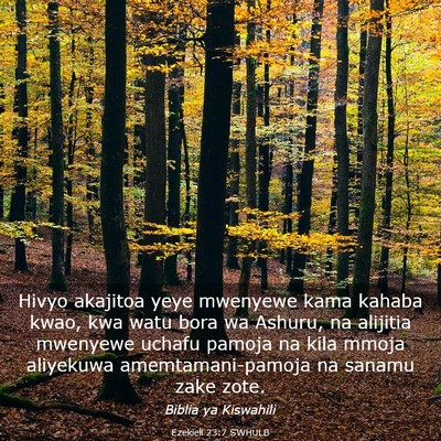 Picture 03 - Ezekieli 23:7 SWHULB - Hivyo akajitoa yeye mwenyewe kama kahaba kwao, - Bible Verse Picture