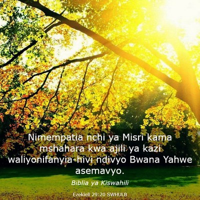 Picture 03 - Ezekieli 29:20 SWHULB - Nimempatia nchi ya Misri kama mshahara kwa ajili - Bible Verse Picture