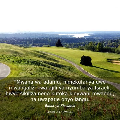 Picture 03 - Ezekieli 3:17 SWHULB - “Mwana wa adamu, nimekufanya uwe mwangalizi kwa - Bible Verse Picture