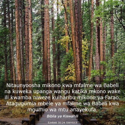 Picture 03 - Ezekieli 30:24 SWHULB - Nitaunyoosha mikono kwa mfalme wa Babeli na - Bible Verse Picture