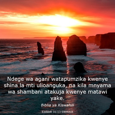Picture 03 - Ezekieli 31:13 SWHULB - Ndege wa agani watapumzika kwenye shina la mti - Bible Verse Picture