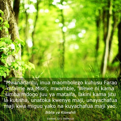 Picture 03 - Ezekieli 32:2 SWHULB - “Mwanadamu, inua maombolezo kuhusu Farao mfalme - Bible Verse Picture