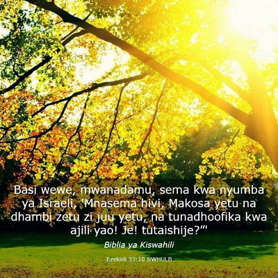 Picture 03 - Ezekieli 33:10 SWHULB - Basi wewe, mwanadamu, sema kwa nyumba ya Israeli, - Bible Verse Picture