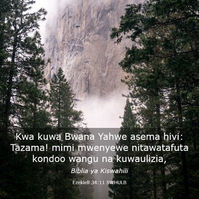 Picture 03 - Ezekieli 34:11 SWHULB - Kwa kuwa Bwana Yahwe asema hivi: Tazama! mimi - Bible Verse Picture