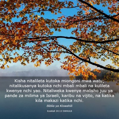 Picture 03 - Ezekieli 34:13 SWHULB - Kisha nitalileta kutoka miongoni mwa watu; - Bible Verse Picture