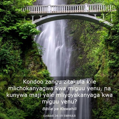 Picture 03 - Ezekieli 34:19 SWHULB - Kondoo zangu zitakula kile mlichokanyagwa kwa - Bible Verse Picture