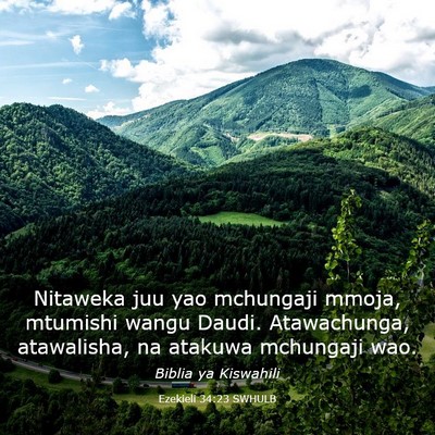 Picture 03 - Ezekieli 34:23 SWHULB - Nitaweka juu yao mchungaji mmoja, mtumishi wangu - Bible Verse Picture