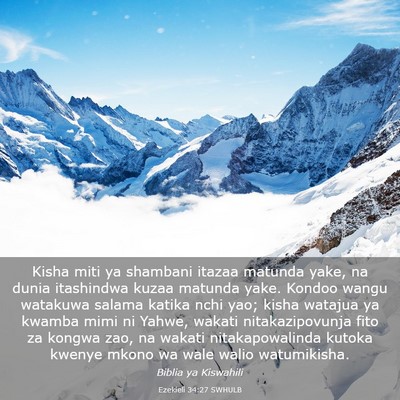 Picture 03 - Ezekieli 34:27 SWHULB - Kisha miti ya shambani itazaa matunda yake, na - Bible Verse Picture