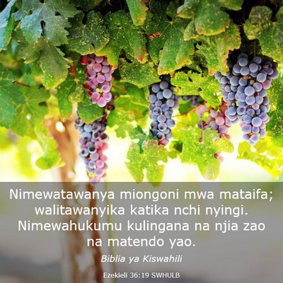 Picture 03 - Ezekieli 36:19 SWHULB - Nimewatawanya miongoni mwa mataifa; walitawanyika - Bible Verse Picture