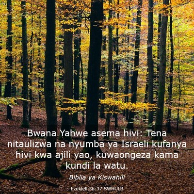 Picture 03 - Ezekieli 36:37 SWHULB - Bwana Yahwe asema hivi: Tena nitaulizwa na nyumba - Bible Verse Picture
