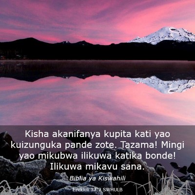Picture 03 - Ezekieli 37:2 SWHULB - Kisha akanifanya kupita kati yao kuizunguka pande - Bible Verse Picture