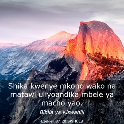 Picture 03 - Ezekieli 37:20 SWHULB - Shika kwenye mkono wako na matawi uliyoandika - Bible Verse Picture