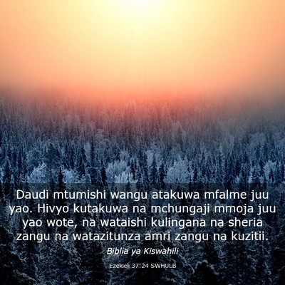 Picture 03 - Ezekieli 37:24 SWHULB - Daudi mtumishi wangu atakuwa mfalme juu yao. - Bible Verse Picture