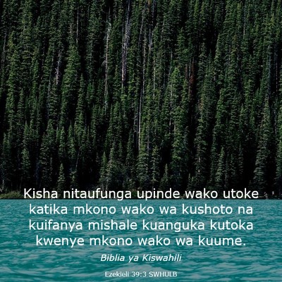 Picture 03 - Ezekieli 39:3 SWHULB - Kisha nitaufunga upinde wako utoke katika mkono - Bible Verse Picture
