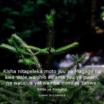 Picture 03 - Ezekieli 39:6 SWHULB - Kisha nitapeleka moto juu ya Magogu na kwa wale - Bible Verse Picture