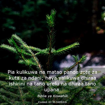 Picture 03 - Ezekieli 40:30 SWHULB - Pia kulikuwa na matao pande zote za kuta za - Bible Verse Picture