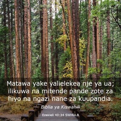 Picture 03 - Ezekieli 40:34 SWHULB - Matawa yake yalielekea nje ya ua; ilikuwa na - Bible Verse Picture