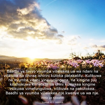 Picture 03 - Ezekieli 42:3 SWHULB - Baadhi ya hivyo vyumba vilielekea ua wa ndani na - Bible Verse Picture