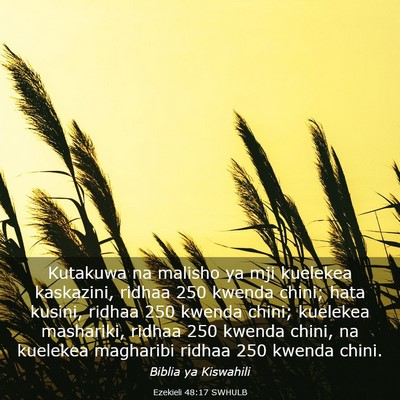 Picture 03 - Ezekieli 48:17 SWHULB - Kutakuwa na malisho ya mji kuelekea kaskazini, - Bible Verse Picture