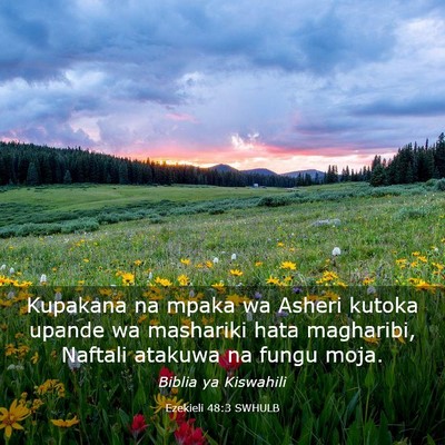 Picture 03 - Ezekieli 48:3 SWHULB - Kupakana na mpaka wa Asheri kutoka upande wa - Bible Verse Picture