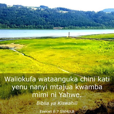 Picture 03 - Ezekieli 6:7 SWHULB - Waliokufa wataanguka chini kati yenu nanyi mtajua - Bible Verse Picture