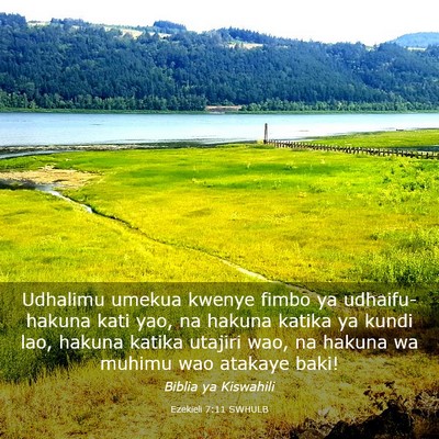 Picture 03 - Ezekieli 7:11 SWHULB - Udhalimu umekua kwenye fimbo ya udhaifu-hakuna - Bible Verse Picture