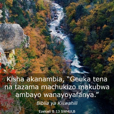 Picture 03 - Ezekieli 8:13 SWHULB - Kisha akanambia, “Geuka tena na tazama - Bible Verse Picture