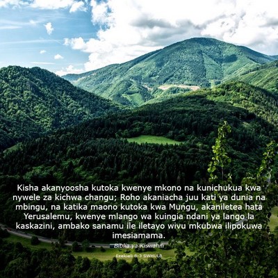 Picture 03 - Ezekieli 8:3 SWHULB - Kisha akanyoosha kutoka kwenye mkono na - Bible Verse Picture