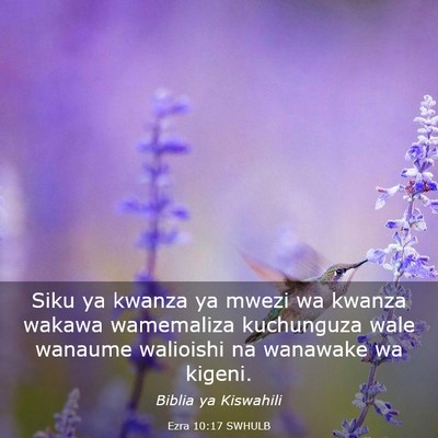 Picture 03 - Ezra 10:17 SWHULB - Siku ya kwanza ya mwezi wa kwanza wakawa - Bible Verse Picture