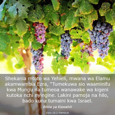 Picture 03 - Ezra 10:2 SWHULB - Shekania mtoto wa Yehieli, mwana wa Elamu - Bible Verse Picture