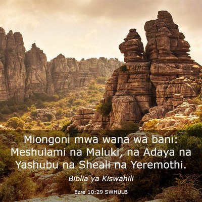 Picture 03 - Ezra 10:29 SWHULB - Miongoni mwa wana wa bani: Meshulami na Maluki, - Bible Verse Picture