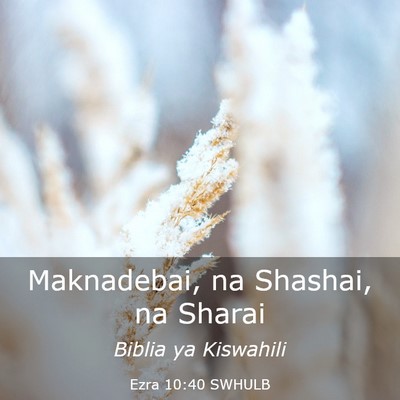 Picture 03 - Ezra 10:40 SWHULB - Maknadebai, na Shashai, na - Bible Verse Picture