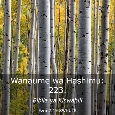 Picture 03 - Ezra 2:19 SWHULB - Wanaume wa Hashimu: - Bible Verse Picture