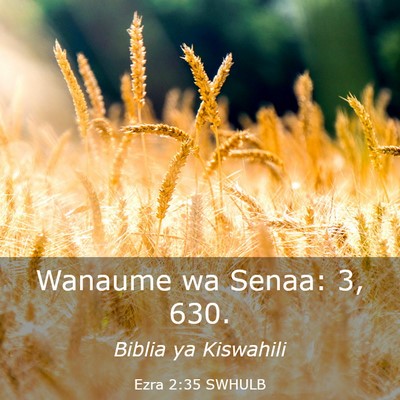 Picture 03 - Ezra 2:35 SWHULB - Wanaume wa Senaa: 3, - Bible Verse Picture