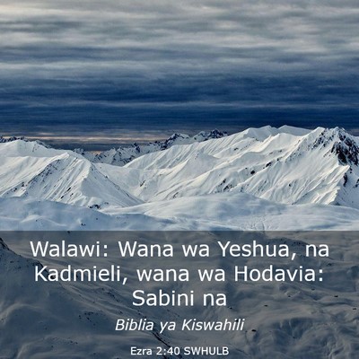 Picture 03 - Ezra 2:40 SWHULB - Walawi: Wana wa Yeshua, na Kadmieli, wana wa - Bible Verse Picture