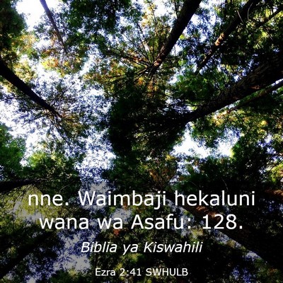 Picture 03 - Ezra 2:41 SWHULB - nne. Waimbaji hekaluni wana wa Asafu: - Bible Verse Picture