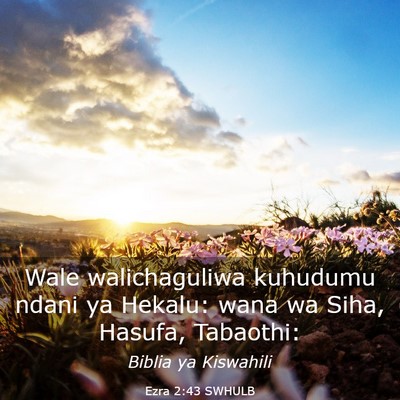 Picture 03 - Ezra 2:43 SWHULB - Wale walichaguliwa kuhudumu ndani ya Hekalu: wana - Bible Verse Picture