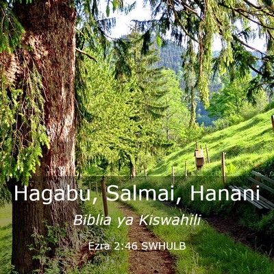 Picture 03 - Ezra 2:46 SWHULB - Hagabu, Salmai, - Bible Verse Picture