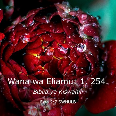Picture 03 - Ezra 2:7 SWHULB - Wana wa Eliamu: 1, - Bible Verse Picture