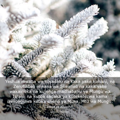 Picture 03 - Ezra 3:2 SWHULB - Yeshua mwana wa Yosadaki na kaka yake kuhani, na - Bible Verse Picture