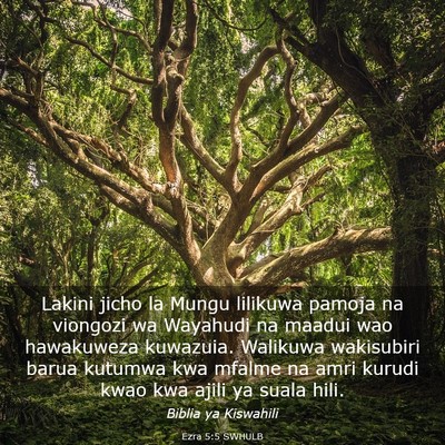 Picture 03 - Ezra 5:5 SWHULB - Lakini jicho la Mungu lilikuwa pamoja na viongozi - Bible Verse Picture