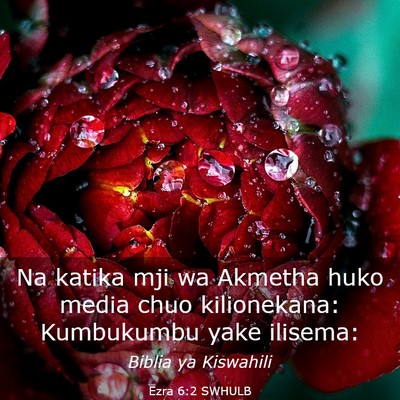 Picture 03 - Ezra 6:2 SWHULB - Na katika mji wa Akmetha huko media chuo - Bible Verse Picture