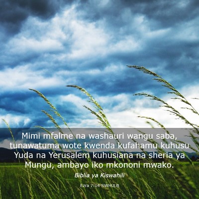 Picture 03 - Ezra 7:14 SWHULB - Mimi mfalme na washauri wangu saba, tunawatuma - Bible Verse Picture